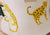 Leopards