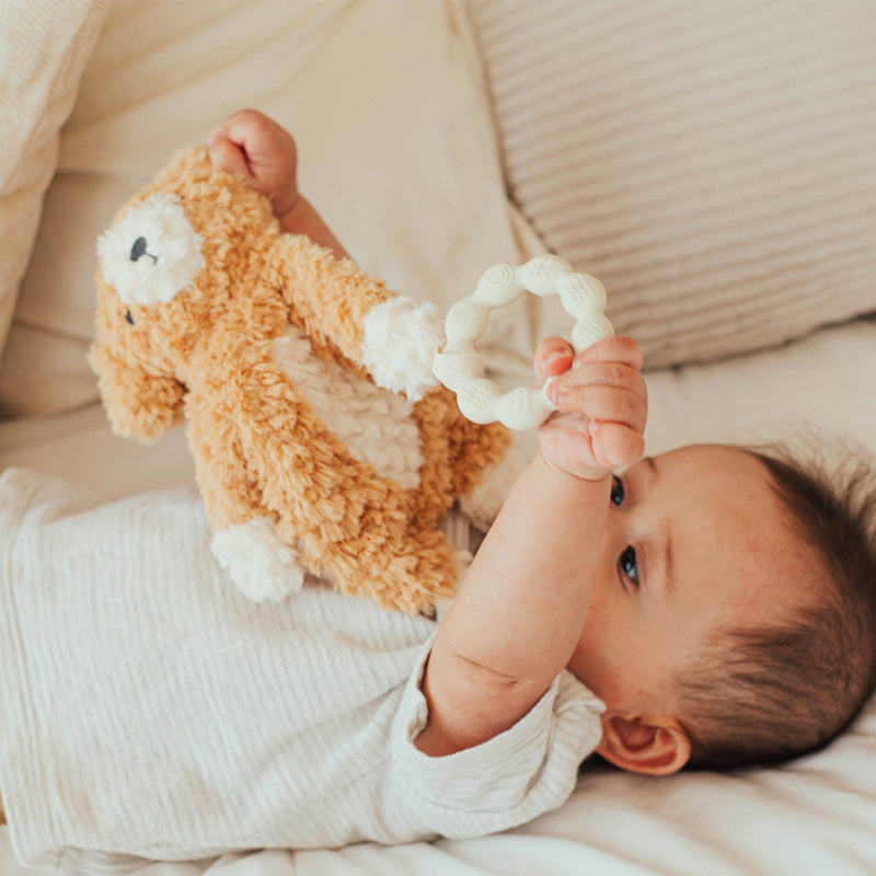 Wonder and Wise Puppy Love- Bambi Baby