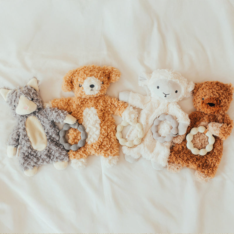 Wonder and Wise Puppy Love- Bambi Baby