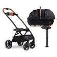 Tavo Maeve + Roscoe 3-IN-1 Pet Protection System, Médio Rígido em Ônix - Bambi Baby