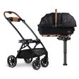 Tavo Maeve + Roscoe 3-IN-1 Pet Protection System, Médio Rígido em Ônix - Bambi Baby