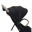 Maxi Cosi Oxford Cabin Lightweight Travel Stroller - Bambi Baby