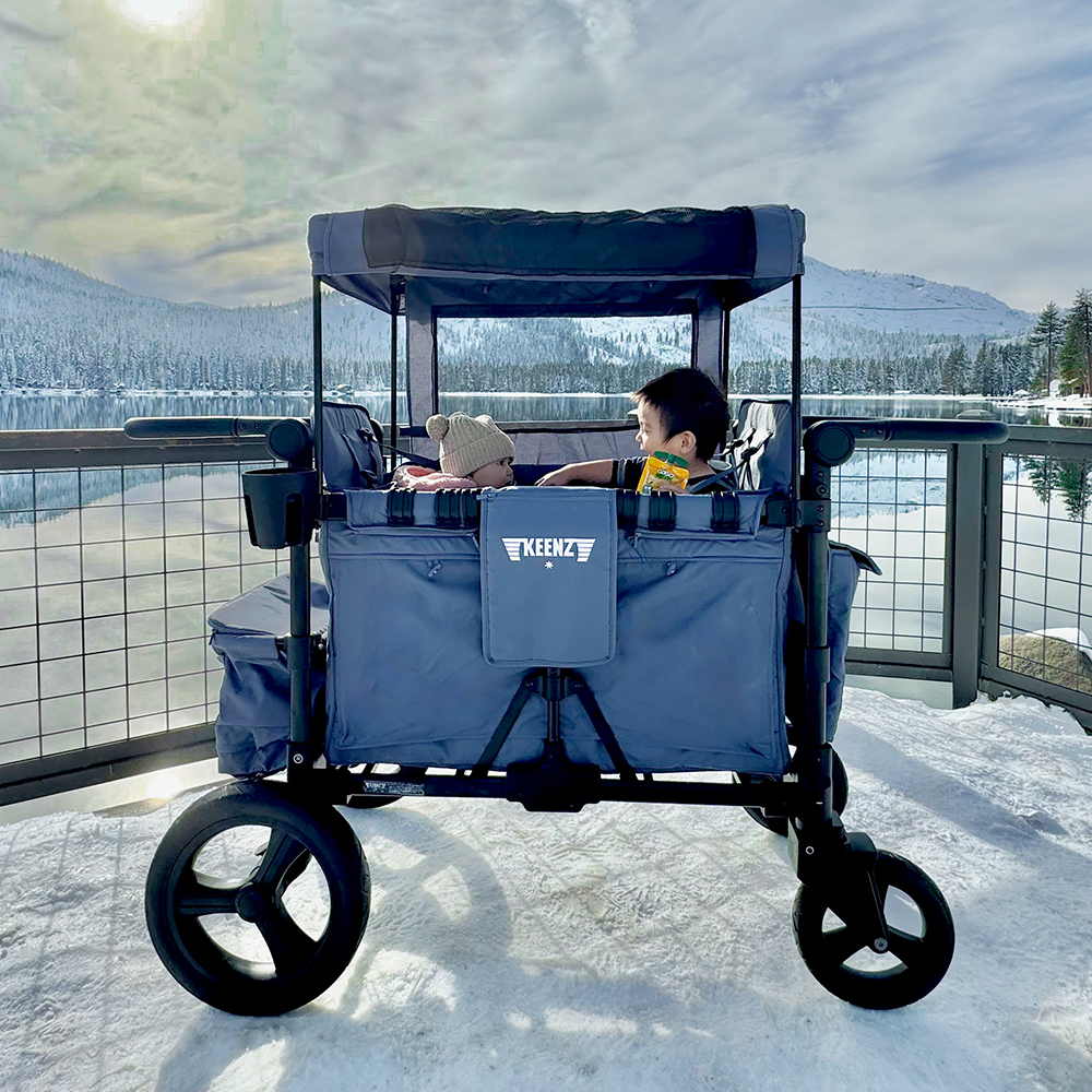 moov double stroller Keenz MOOV 2-Passenger Stroller Wagon – All-Terrain Comfort for Everyd – Bambi Baby