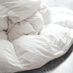 Naturepedic Down Duvet Insert Comforter with Organic Cotton Fabric for Kids