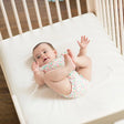 Naturepedic Organic Sateen Crib Sheets 300TC - Bambi Baby