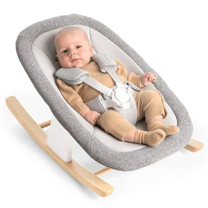 Nuna BRYN + Newborn Rocker Seat- Bambi Baby