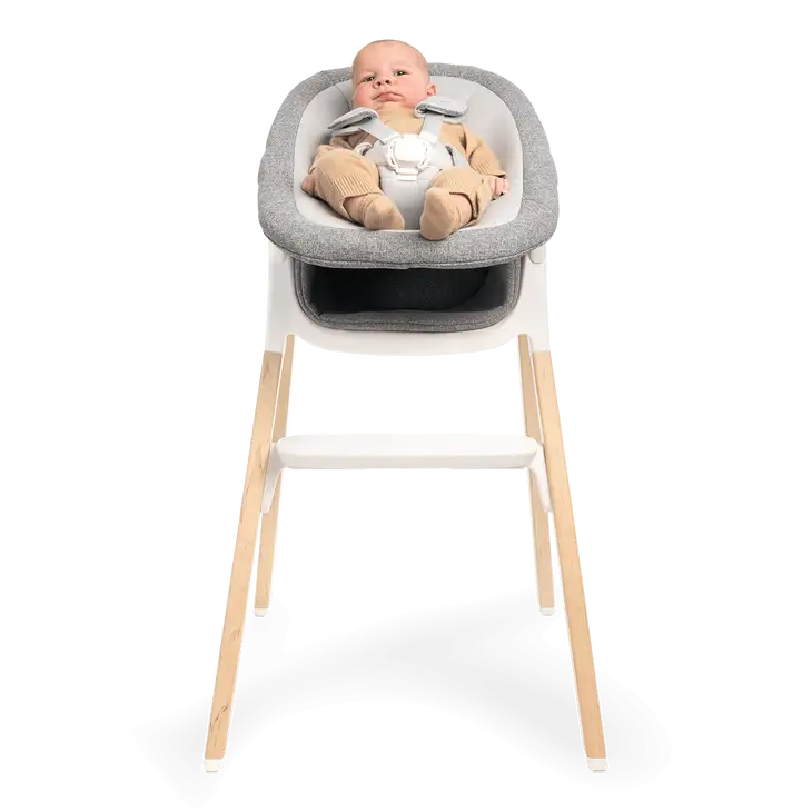 Nuna BRYN + Newborn Rocker Seat- Bambi Baby