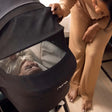 Nuna SWIV & TRIV series bassinet + stand BMW Collection - Bambi Baby