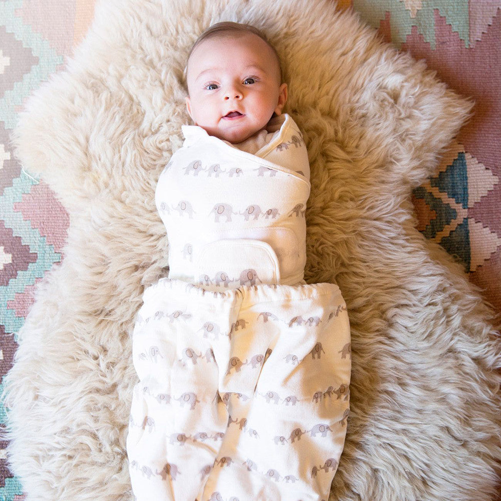 Ergobaby Swaddler - Elefante- Bambi Baby