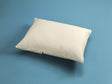 Moonlight Slumber Little Dreamer Toddler Pillow with Organic Cover - Bambi Baby