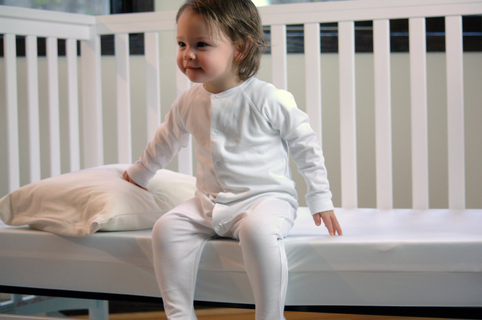 Moonlight Slumber Little Dreamer Toddler Pillow with Organic Cover- Bambi Baby