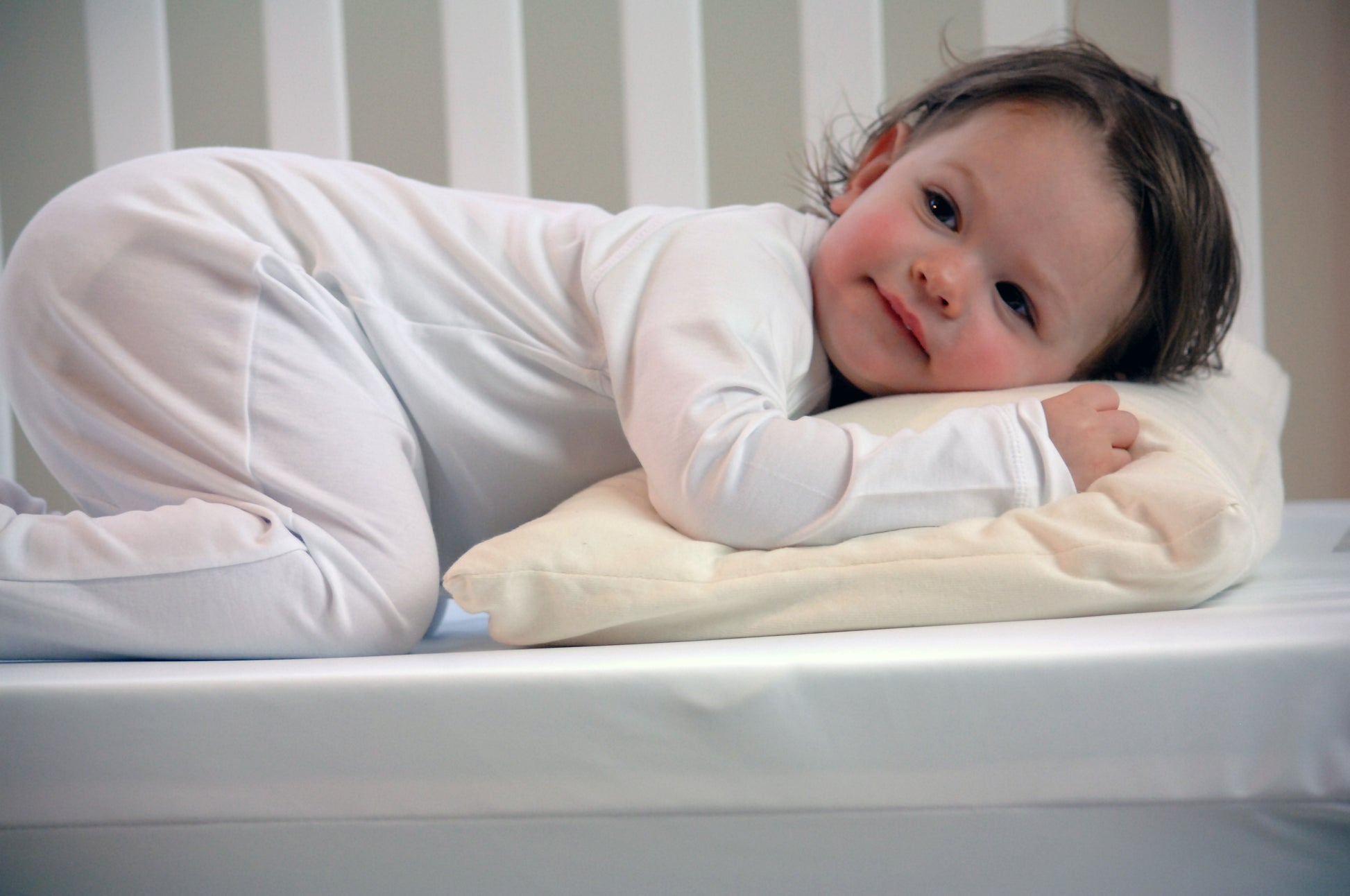 Moonlight Slumber Little Dreamer Toddler Pillow with Organic Cover- Bambi Baby