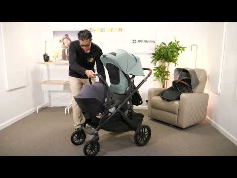 UPPAbaby Vista V3 Stroller - Bambi Baby