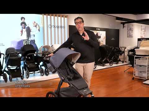 UPPAbaby RIDGE Stroller - Bambi Baby