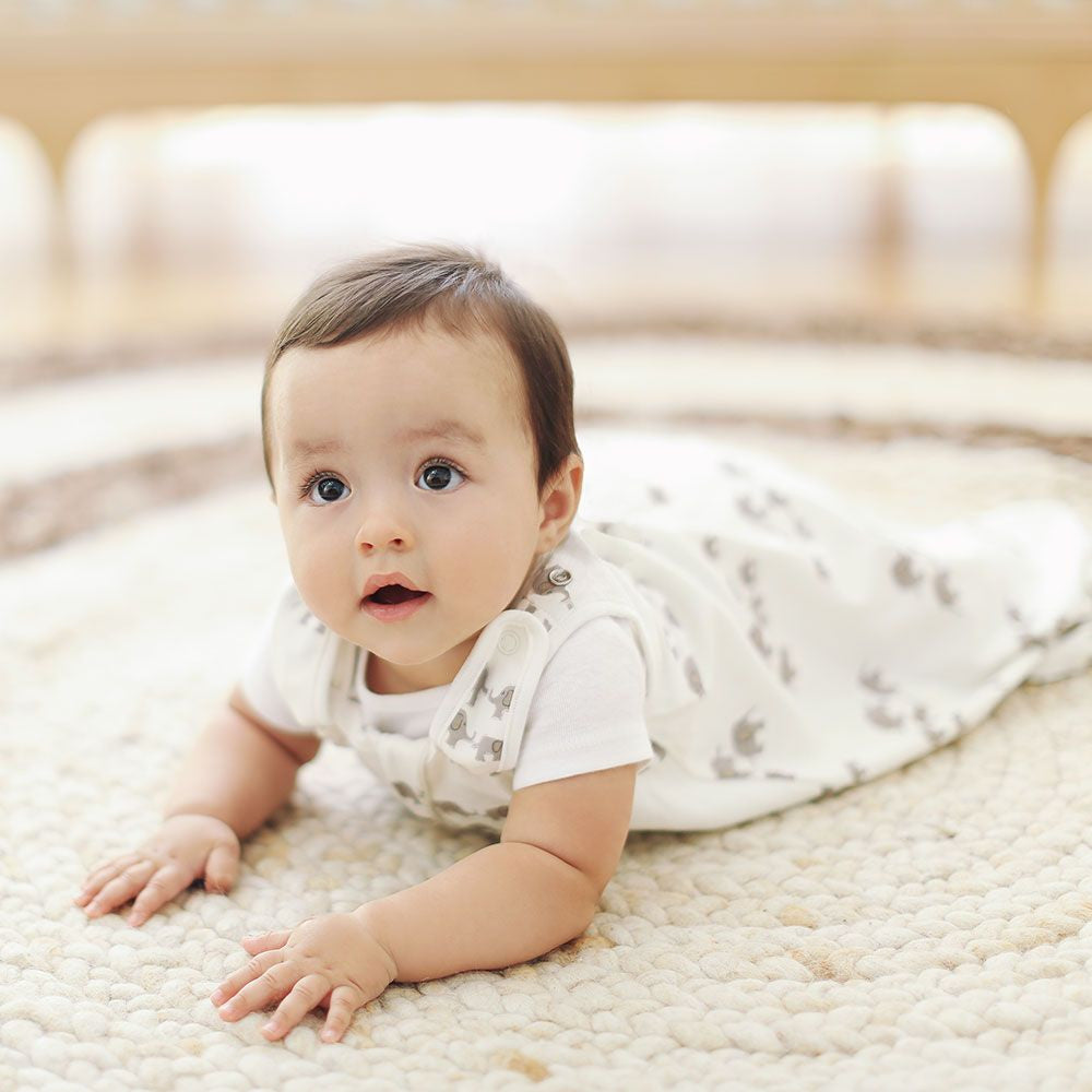Ergobaby Classic Sleep Bag (0in6 S) TOG 1.0 in Elephant- Bambi Baby
