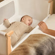 Snuz SnuzPod5 Bedside Bassinet - Bambi Baby