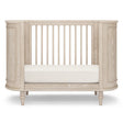 Bellini Oval Organic Jersey Cotton Crib Sheet and Changing Pad Cover Set - Bambi Baby