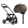 Tavo Maeve + Roscoe 3-IN-1 Pet Protection System, Medium Rigid in Brindle - Bambi Baby