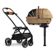 Tavo Maeve + Roscoe 3-IN-1 Pet Protection System, Médio Rígido em Sable - Bambi Baby