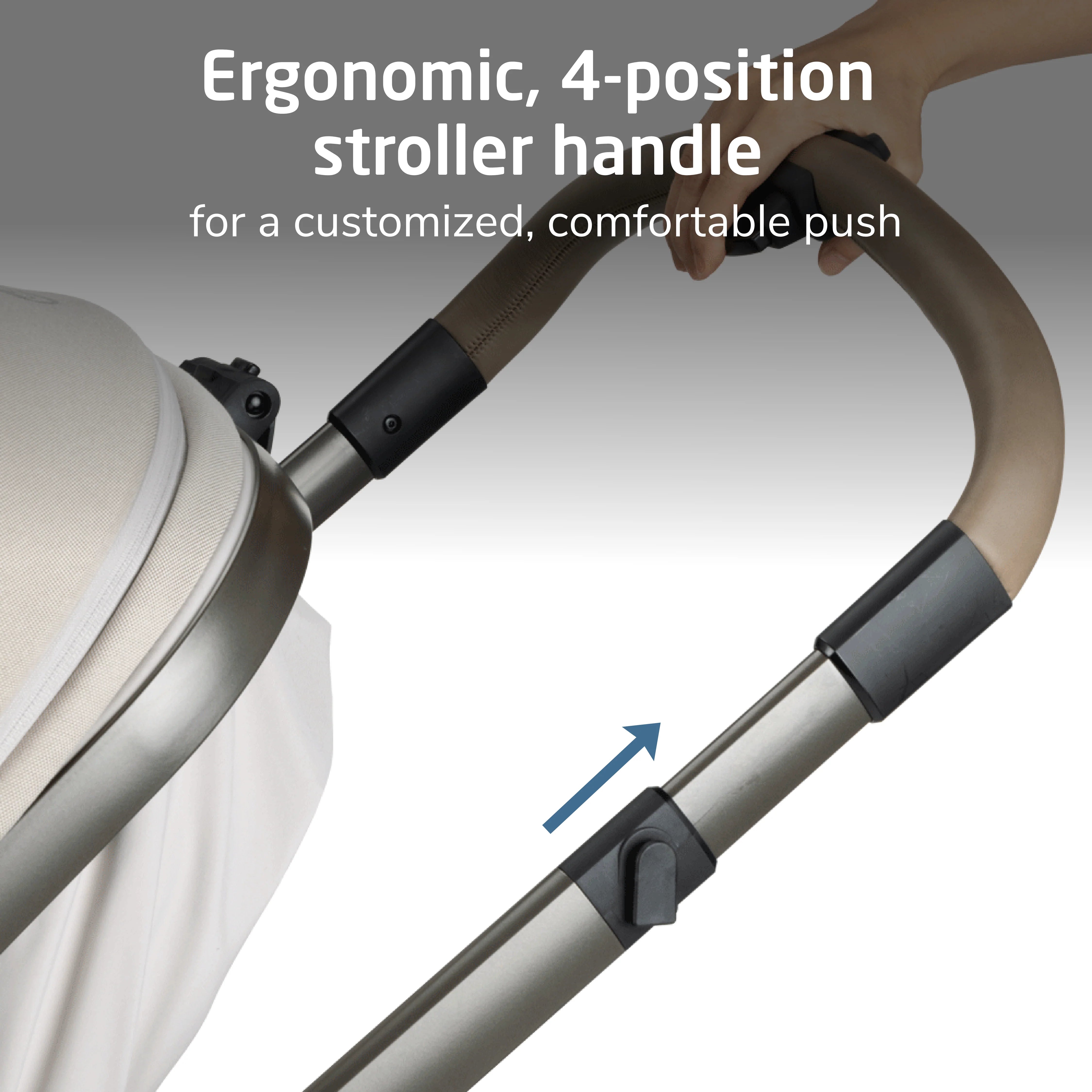 Maxi Cosi Zelia™ Pro 5-in-1 Modular Travel System- Bambi Baby