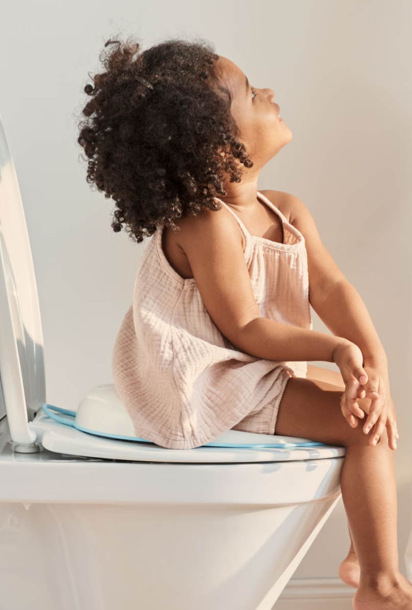 BabyBjörn Toilet Training Seat- Bambi Baby