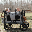 Keenz Vyo͞o The Seating Chameleon Stroller Wagon 2-Passengers - Bambi Baby