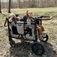 Keenz Vyo͞o The Seating Chameleon Stroller Wagon 2-Passengers - Bambi Baby