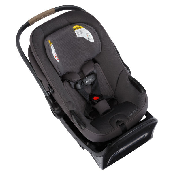 Maxi Cosi Ambra Infant Car Seat- Bambi Baby