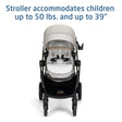 Maxi Cosi Zelia™ Pro 5-in-1 Modular Travel System - Bambi Baby
