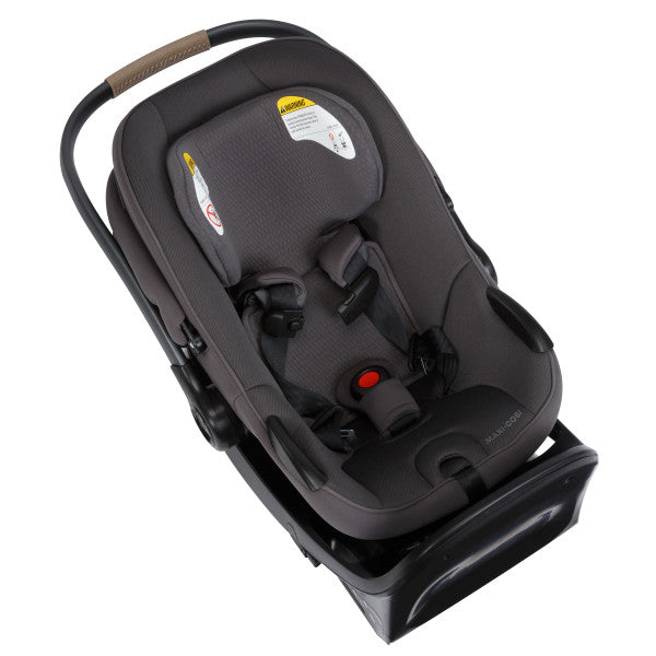 Maxi Cosi Ambra Infant Car Seat- Bambi Baby